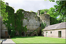 S0043 : Castles of Munster: Killenure, Tipperary (4) by Mike Searle