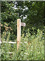 TG2800 : Wash Lane Byway sign to the B1332 Bungay Road by Geographer