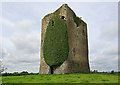 S1661 : Castles of Munster: Rahelty, Tipperary (1) by Mike Searle