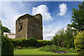 S3056 : Castles of Munster: Kilcooley, Tipperary (1) by Mike Searle
