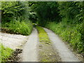 Lane beside Wood Lane