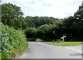 TQ7916 : Traffic island near Westfield, East Sussex by nick macneill
