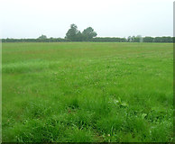 SK6813 : Farmland near Gaddesby by JThomas