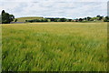 Arable land near Tadmarton