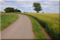 Road near Swalcliffe Lea