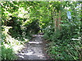 Bridleway near the centre of Horsham