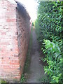 Narrow path, Rampton