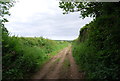 Bridleway near Waterslade