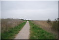 TR3462 : Saxon Shore Way / Thanet Coastal Path by N Chadwick