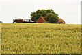 Hall Lane farm buildings