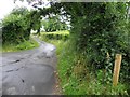 H4913 : Road at Corcraff by Kenneth  Allen