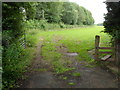 Stile alongside an open gate, The Bryn