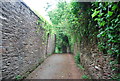 Very narrow lane in Slapton village