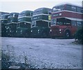 SX9292 : A Group of Buses at Exeter Bus Station by David Hillas