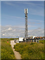SD3148 : Mobile Phone Mast at Rossall by David Dixon