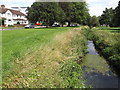 Green Lanes, Hogsmill River