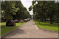 Cycle Path, Meadows