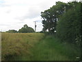 Footpath at High House Farm