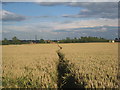 Footpath to Cross Street, Sturton le Steeple