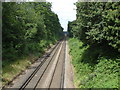 Railway Lines, Sunninghill