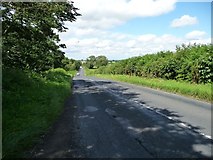 SE3341 : Wike Ridge Lane, looking north by Christine Johnstone