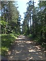 Hamstead Trail and coastal footpath in the direction of Lower Hamstead