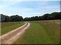 Track leading south from East Hamstead Farm