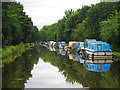 River Wey Navigations