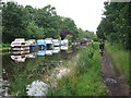 Boats on Wey River Navigation