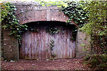 R4561 : Bunratty Park - Site #8 - Old Gate with Vines by Joseph Mischyshyn