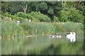 Tiverton : The Grand Western Canal