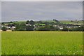 Mid Devon : Grassy Field