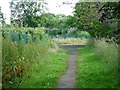 SE3438 : Well-used path on disused track by Christine Johnstone
