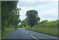ST9295 : The A433 near Purley Covert by Ruth Riddle