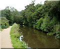 A canal view from bridge 65 north of Mamhilad