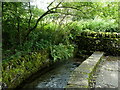 Stream by the village street, Calver