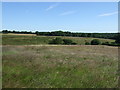 Farmland, North Choppington