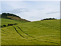 Farmland near Grange of Lindores