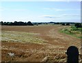 Fields - Glazebrook Moss