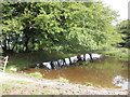 Pond, near Birchcleave