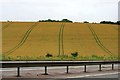 SU4980 : Field tracks and crash barrier by David Lally