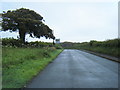 Road north of St Donats