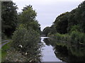 N4827 : Grand Canal in Castlebarnagh Big, near Daingean, Co. Offaly by JP