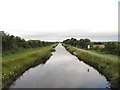N3625 : Grand Canal east of Tullamore, Co. Offaly by JP
