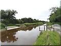 N3025 : Cattle Ford on Grand Canal, Killiskea, Co. Offaly by JP