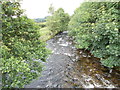 River Twrch - viewed from Station Road Bridge