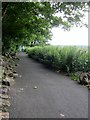 Path Towards Leymoor, Golcar