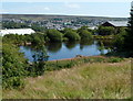 Eastern end of Forge Pond, Blaenavon