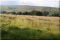 Farmland near New Radnor