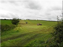 H4372 : Mullaghmenagh Upper, near Omagh by Kenneth  Allen